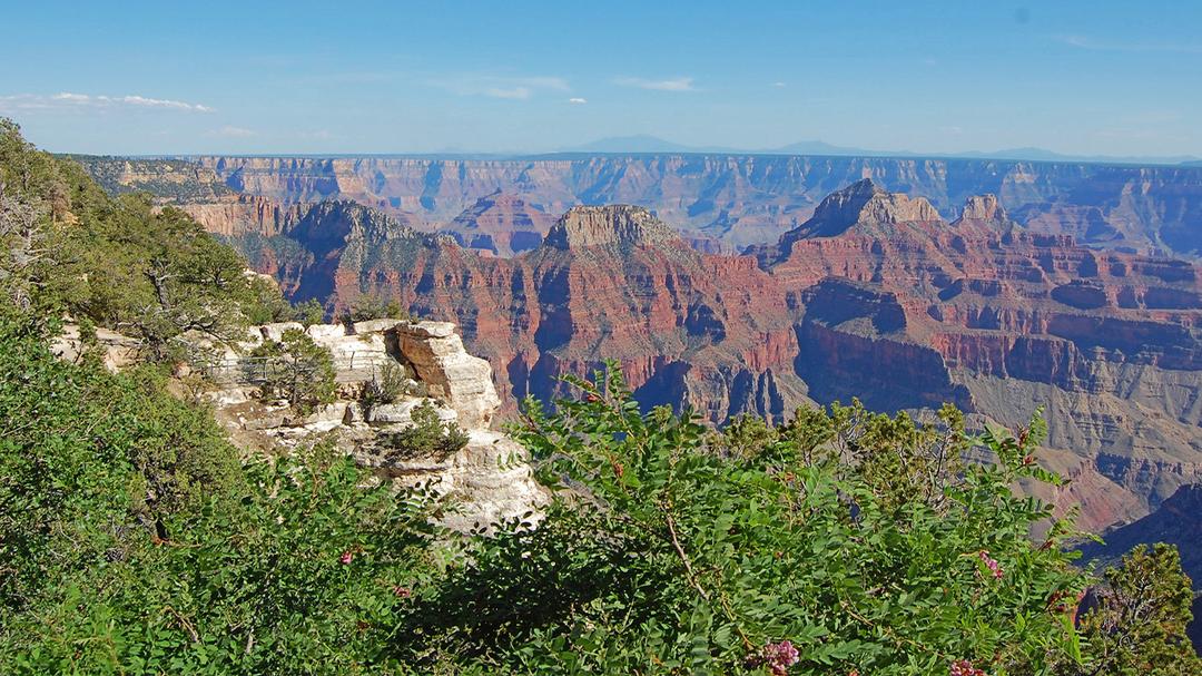 https://media.leisurecom.com/tour/tour-2026-08-02-05-20-01-1.jpg