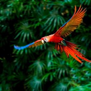Costa Rica Adventure