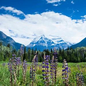 Wonders of the Canadian Rockies